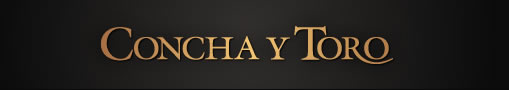 Viña Concha y Toro
